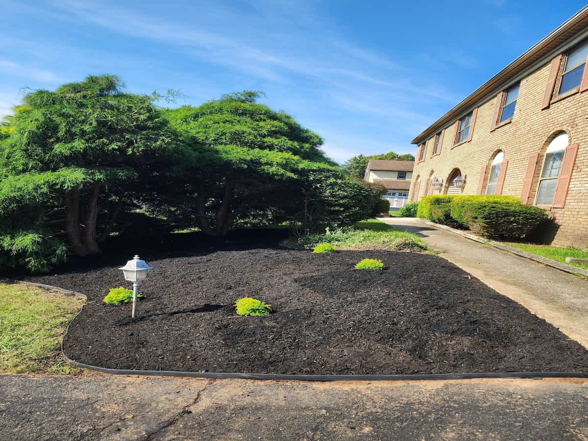 Residential Tree Service