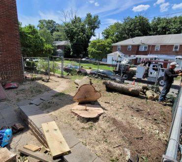 Commercial Tree Service