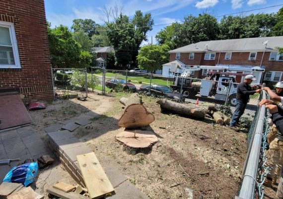 Commercial Tree Service