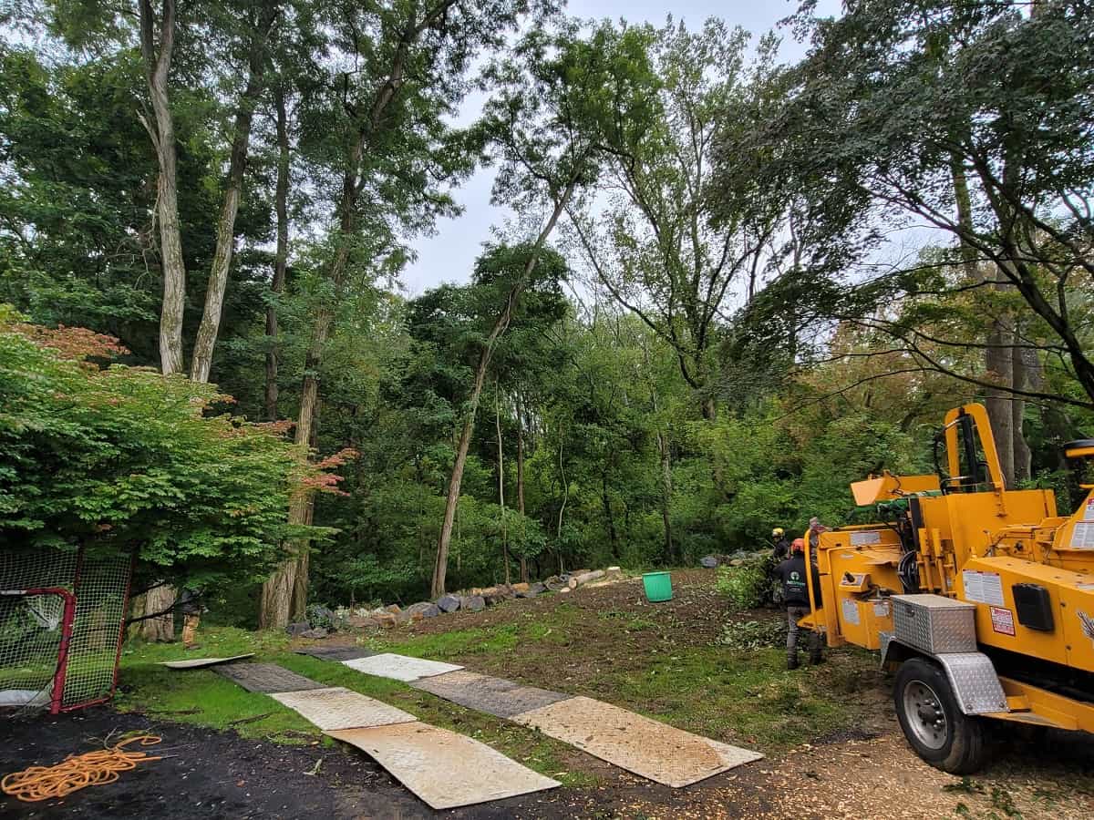 Commercial Tree Services in Kennett Square, PA