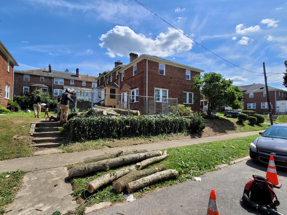 Golden Tree Services pa