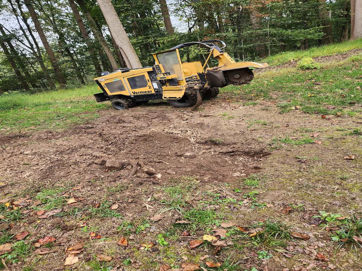 Stump Removal in Chester, PA