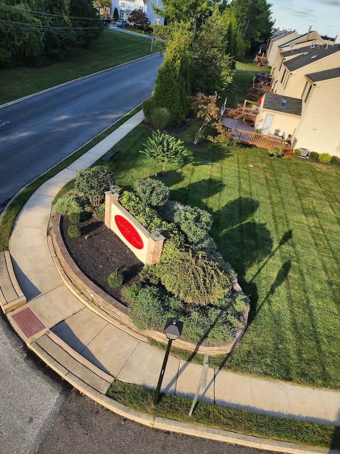 Tree Experts in Philadelphia